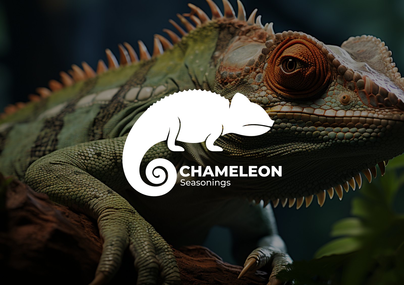 Chameleon Seasonings identity and chameleon imagery